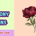 Peony Puns