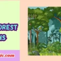 Rainforest Puns