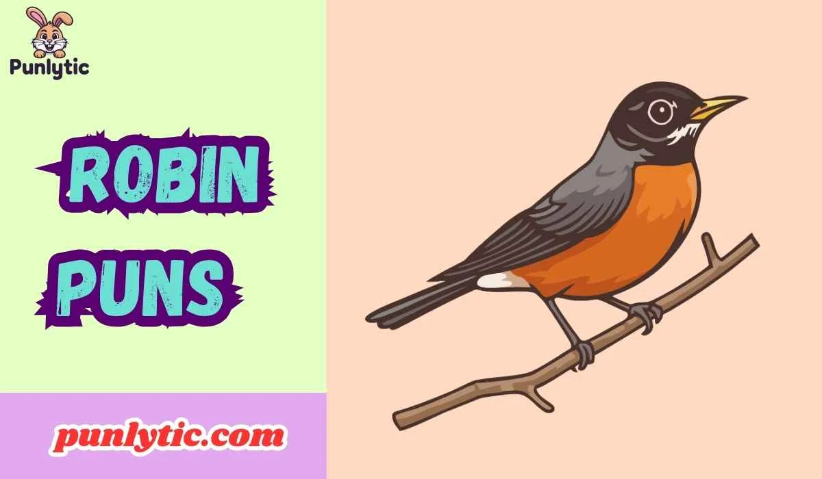 Robin Puns