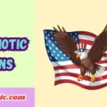 Patriotic Puns