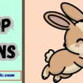 Hop Puns