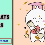 Congrats Puns