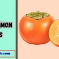 Persimmon Puns