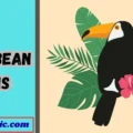 Caribbean Puns
