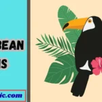 Caribbean Puns