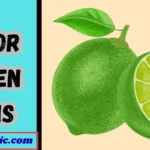 Color Green Puns