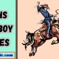 Puns Cowboy Jokes