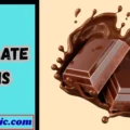 Choclate Puns