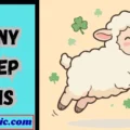 Funny Sheep Puns