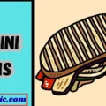 Panini Puns