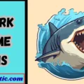 Shark Name Puns