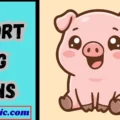 Short Pig Puns